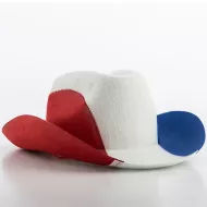 Francia Zászló Cowboy Kalap