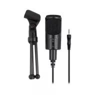 Asztali Mikrofon Ewent EW3552 3.5 mm Fekete